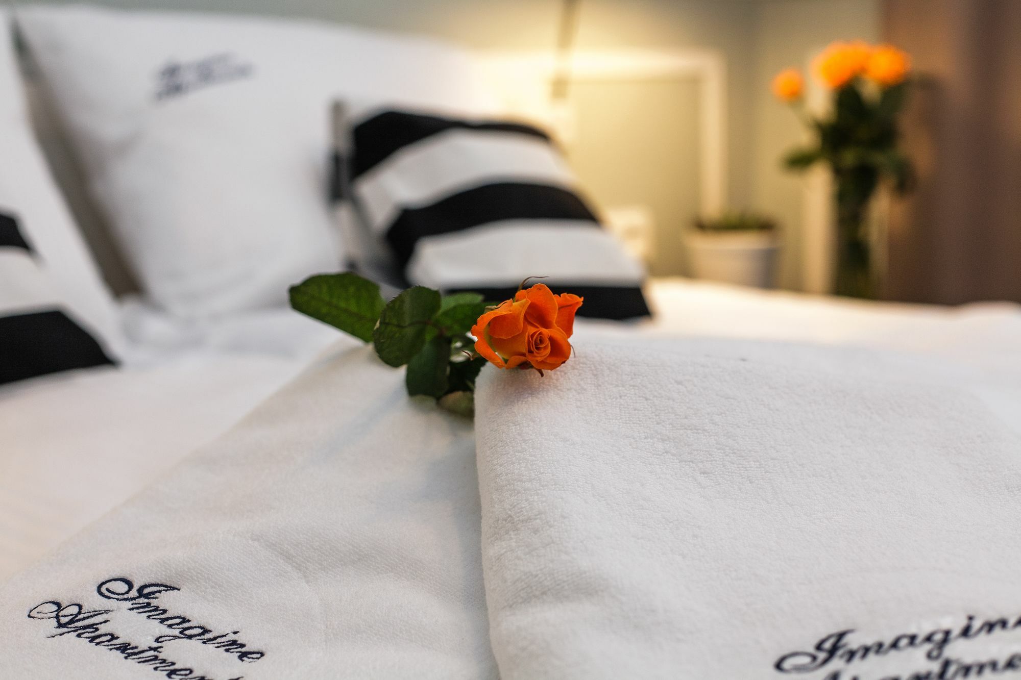 Imagine Apartments Krakow Ngoại thất bức ảnh